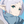 zhanel.dauletbayeva's avatar